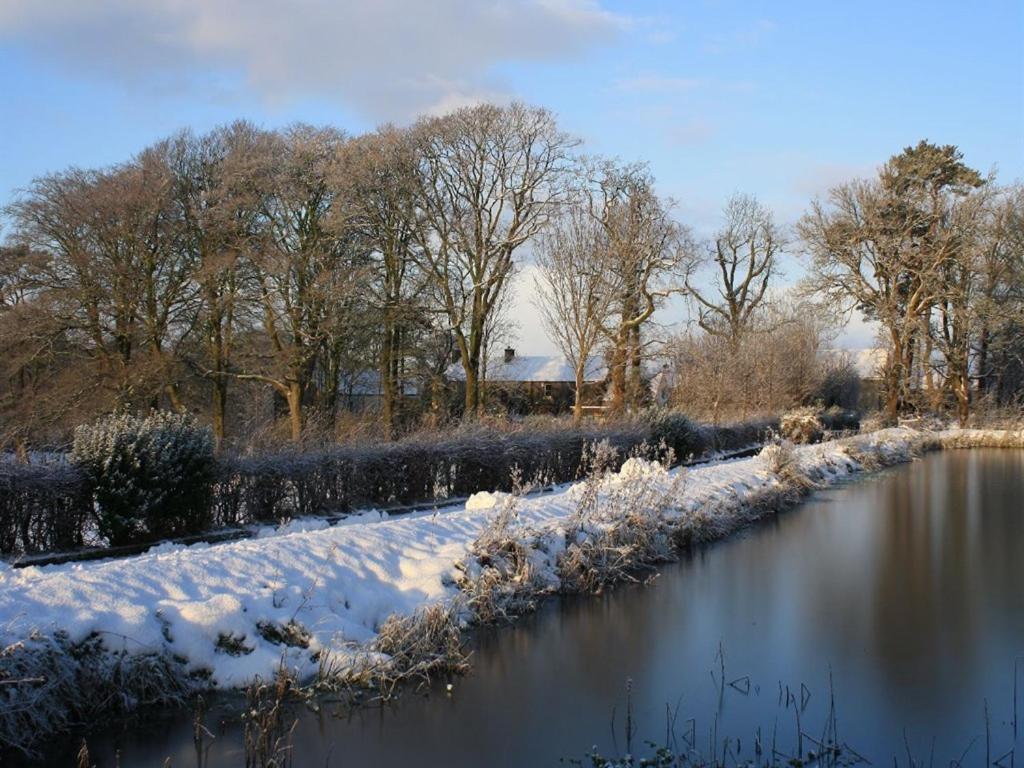 Ballylagan Organic Farm Straid  Exteriér fotografie