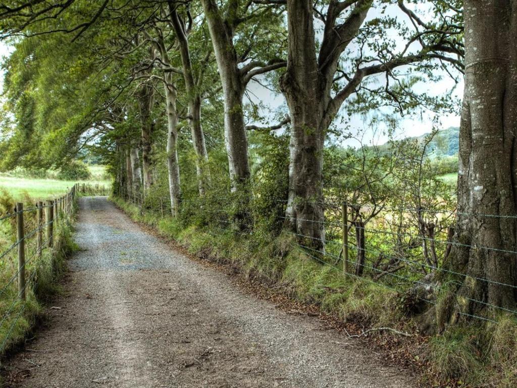 Ballylagan Organic Farm Straid  Exteriér fotografie