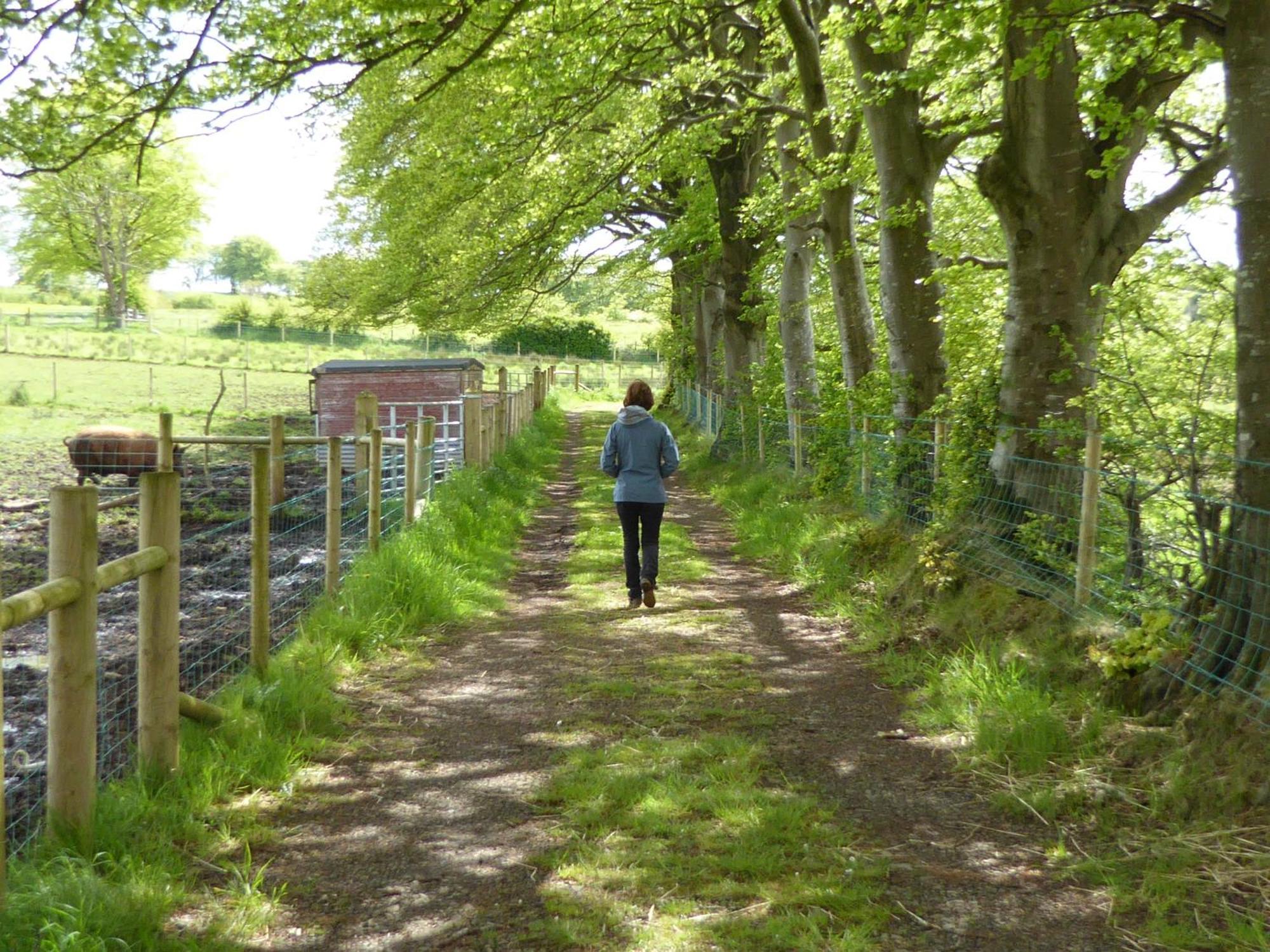 Ballylagan Organic Farm Straid  Pokoj fotografie